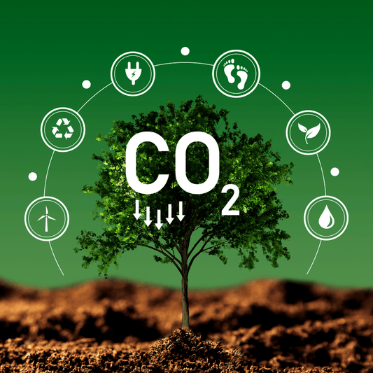 Les émissions massives de CO₂ à Montalieu révèlent les impasses de l'écologie industrielle - Rightbrain Magazine store 