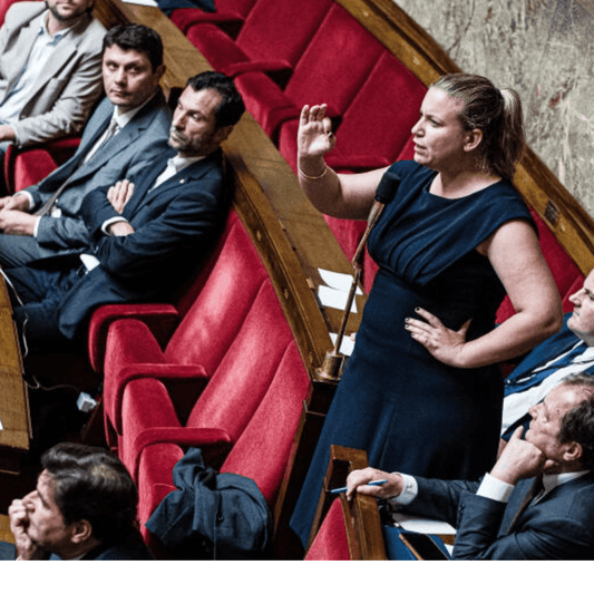 Les Mystères des Commissions Parlementaires et du travail législatif - Rightbrain Magazine store 