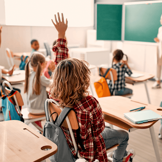 Même si l’école promet l’égalité entre les élèves, des mesures politiques la détruisent - Rightbrain Magazine store 