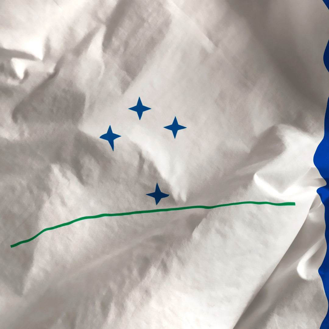 Mercosur : comment le plus grand rêve des libre-échangistes est devenu un cauchemar - Rightbrain Magazine store 