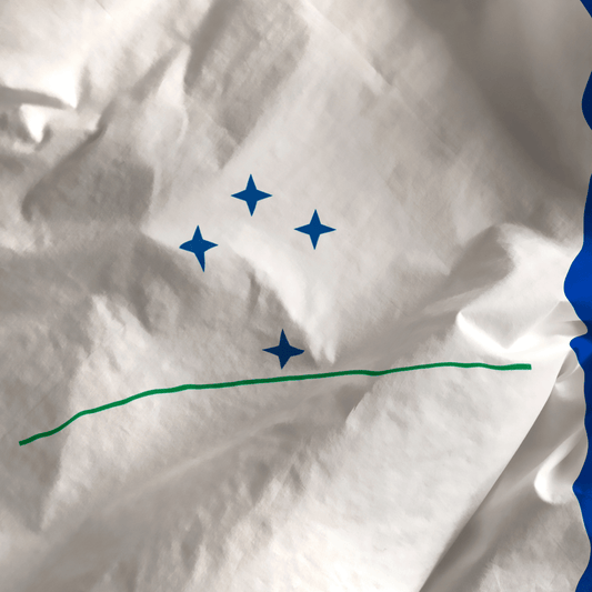 Mercosur : comment le plus grand rêve des libre-échangistes est devenu un cauchemar - Rightbrain Magazine store 