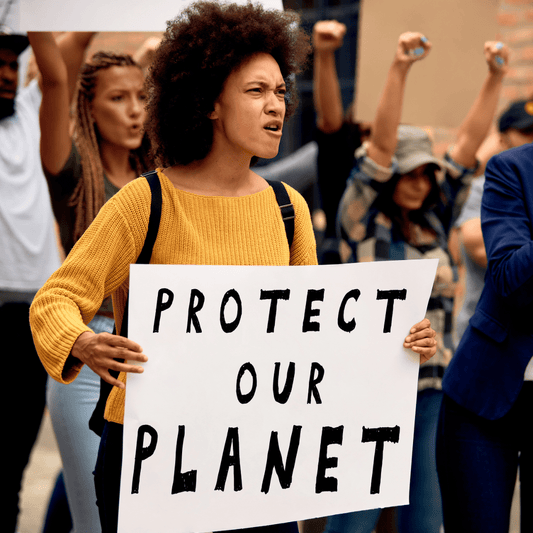Municipales : des accords politiques rapprochent Les Écologistes des organisateurs de l’anthropocène - Rightbrain Magazine store 