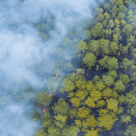 Parti-pris: Comment agir pour que l’écologie ne soit jamais un petit truc en plus ? - Rightbrain Magazine store 