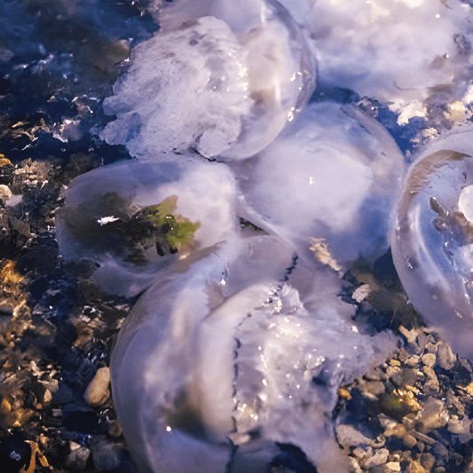 Pollution plastique : la Chine, acteur majeur d’une crise mondiale - Rightbrain Magazine store 