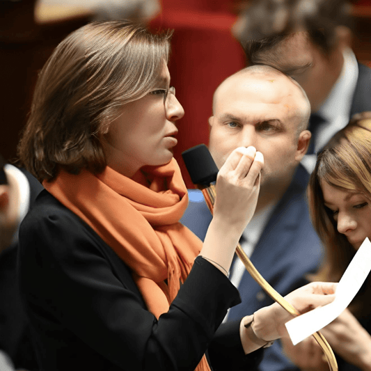 Sans majorité, sans cap clair, le gouvernement fait adopter une loi spéciale - Rightbrain Magazine store 