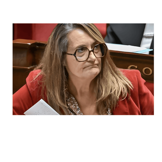 Sophie Primas : « La réforme des retraites a montré que nous sommes dans un système où les carrières ne sont plus linéaires. » - Rightbrain Magazine store 