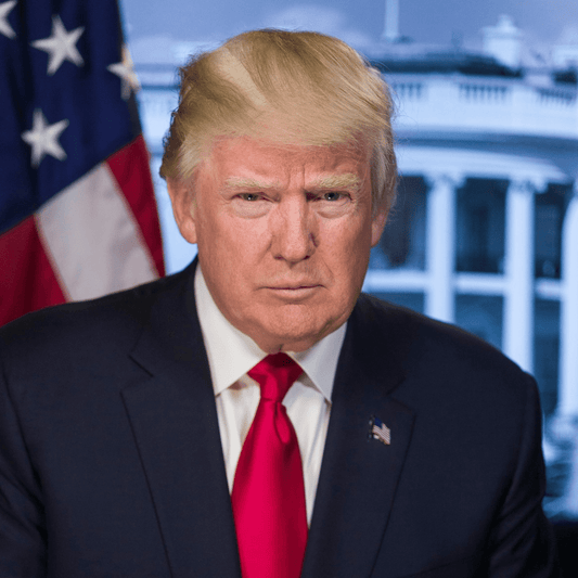Trump défie les juges fédéraux et brouille les frontières entre droit civil et militaire - Rightbrain Magazine store 
