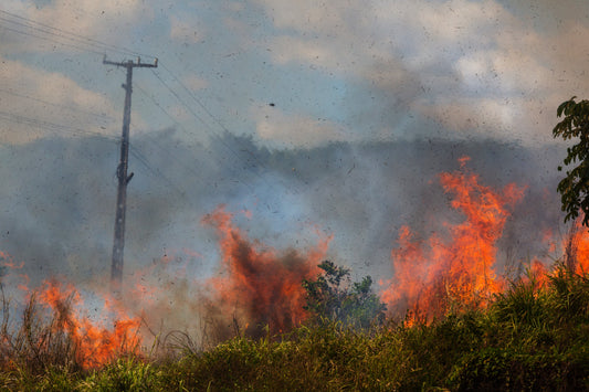 Mégafeux en Gironde : un incendie hors de contrôle
