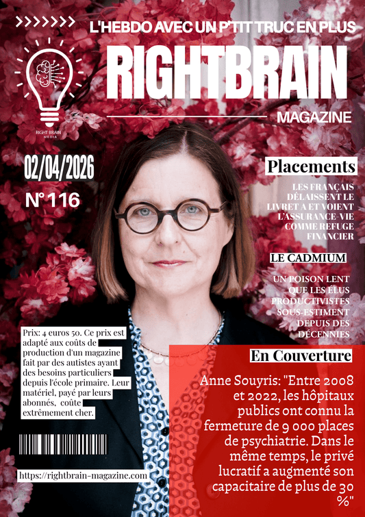 Anne Souyris: "Entre 2008 et 2022, les hôpitaux publics ont connu la fermeture de 9 000 places de psychiatrie. Dans le même temps, le privé lucratif a augmenté son capacitaire de plus de 30 %" - Rightbrain Magazine store